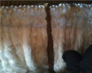 湖北某知名化工廠纖維束填料